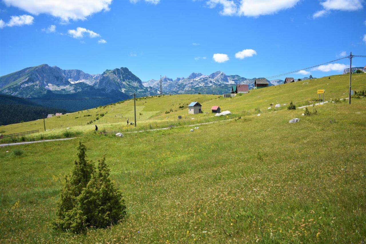 Durmitor View Villa Žabljak Buitenkant foto